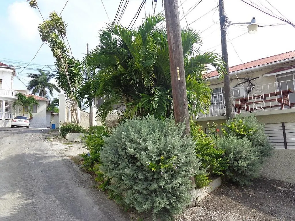 Bethel Court Guesthouse Montego Bay 2*,