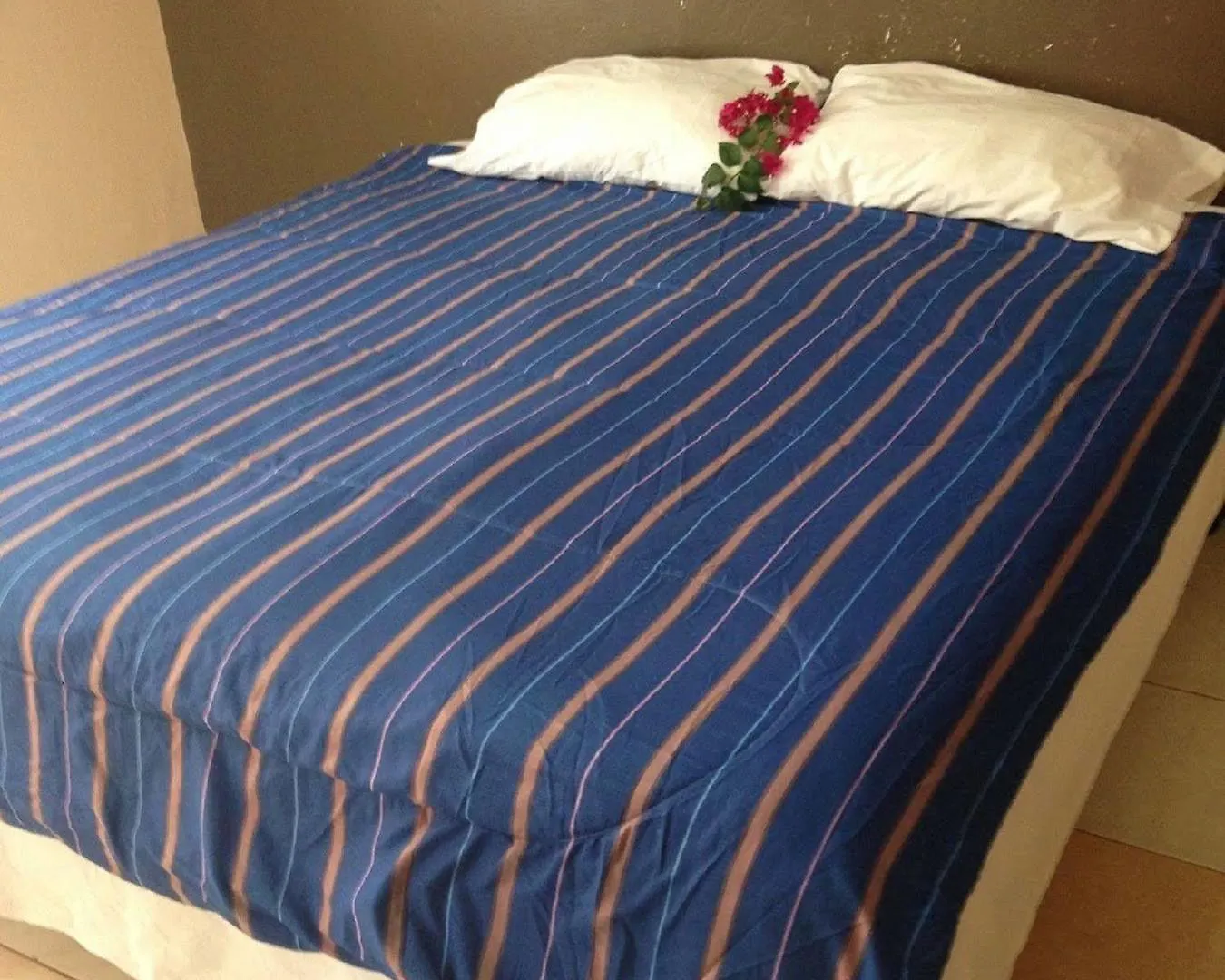 Bethel Court Guesthouse Montego Bay 2*,  Jamaica